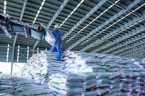 Cổ phiếu ngành phân bón: DCM và DPM được kỳ vọng tăng trưởng lợi nhuận, P/E đang thấp hơn trung bình 5 năm