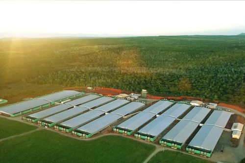 GREENFEED: Kinh doanh đạt nhiều điểm sáng nửa đầu năm