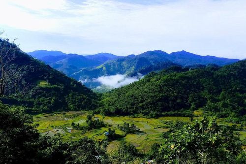 Trợ cấp gạo thực hiện phát triển rừng tại xã Tây Giang