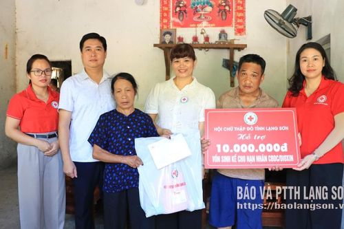 Trao vốn sinh kế cho các gia đình nạn nhân chất độc da cam/dioxin tại xã Yên Phúc, Khánh Khê