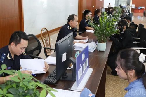 Lào Cai: Thu ngân sách 8 tháng đạt hơn 14 nghìn tỷ đồng