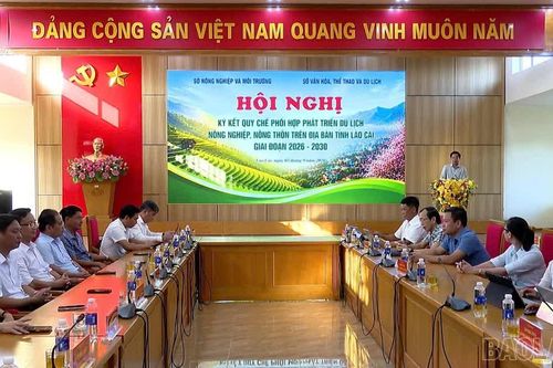 Lào Cai tăng cường phối hợp phát triển du lịch nông nghiệp, nông thôn