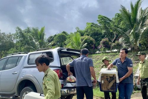Ngăn chặn mua bán động vật hoang dã