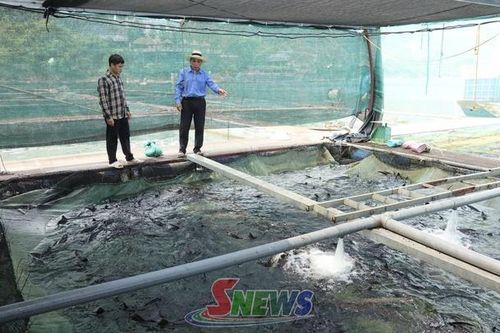Ứng dụng khoa học - công nghệ trong nuôi trồng thủy sản