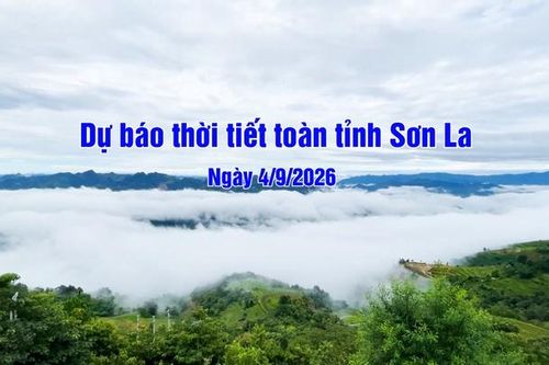 Dự báo thời tiết toàn tỉnh Sơn La ngày 04/9/2026