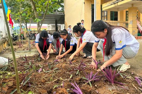 Bình Xa ổn định trường lớp sau sắp xếp