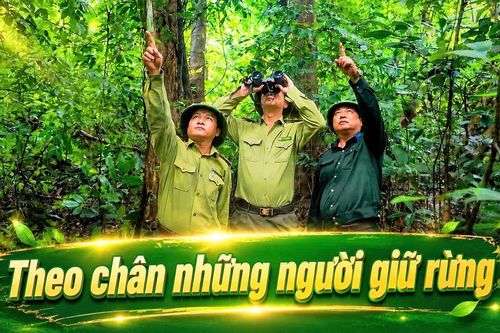 Bước chân lặng lẽ giữ rừng