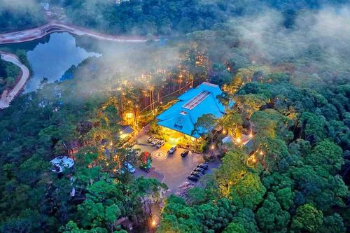 Khu nhà trên cây được đề cử 'Làng du lịch tốt nhất thế giới'