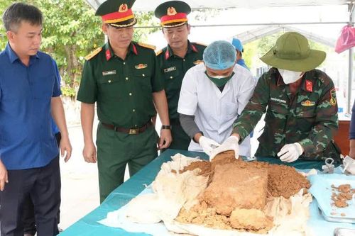 Gia Lai hoàn tất tìm kiếm, khai quật, lấy mẫu tại 113 nghĩa trang liệt sĩ