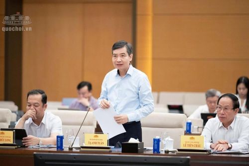 Đề xuất cắt giảm toàn bộ điều kiện kinh doanh với dịch vụ kế toán