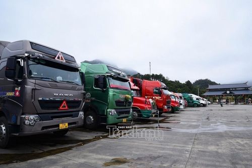 Quy định về chỉ tiêu thông tin, mẫu chứng từ khai báo khi làm thủ tục xuất nhập cảnh, quá cảnh đối với phương tiện vận tải