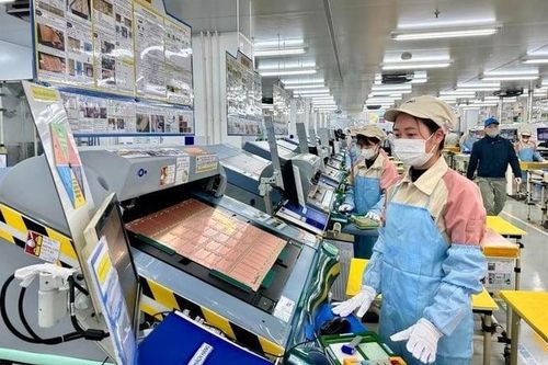 Hơn 206.000 doanh nghiệp gia nhập thị trường trong 8 tháng