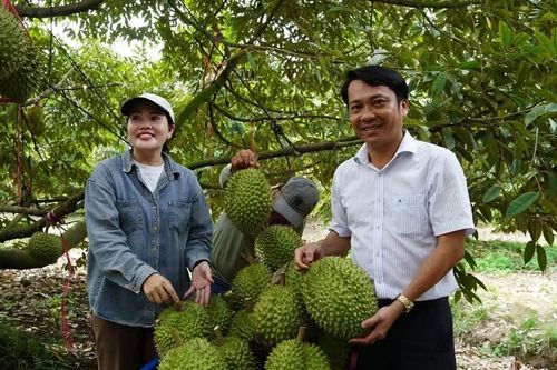Nông, lâm, thủy sản xuất siêu hơn 14 tỷ USD