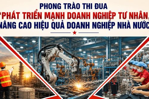 Đồng Tháp: Phát triển mạnh doanh nghiệp tư nhân, nâng cao hiệu quả doanh nghiệp nhà nước