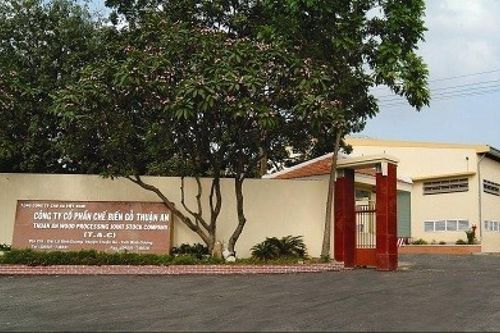 Gỗ Thuận An sắp chi hơn 3,4 tỷ đồng trả cổ tức
