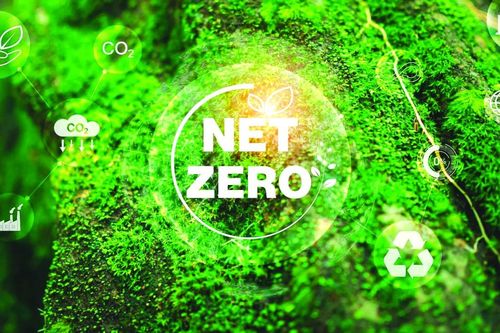 Tạo lực đẩy cho doanh nghiệp trên hành trình Net Zero