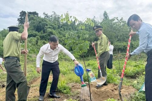 Trồng rừng cảnh quan 'Vì một màu xanh bền vững' tại Khu di tích Ban Tổ chức Khu ủy - Khu V