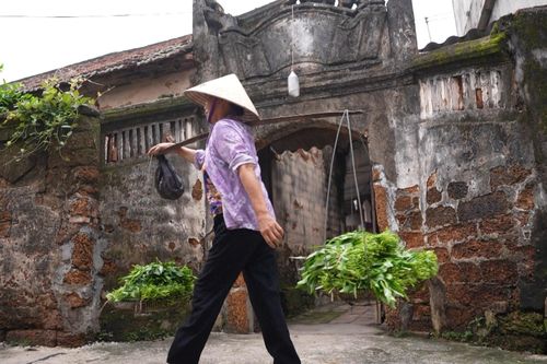 Bình yên làng cổ Yên Trường