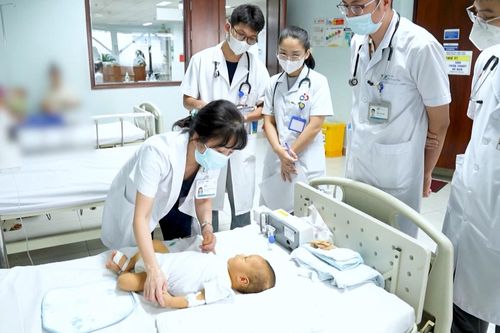 Những mầm sống được hồi sinh