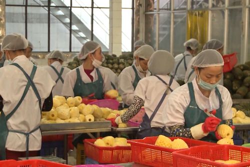 Giảm 30% thuế thu nhập, tiếp sức cho khu vực kinh doanh nhỏ