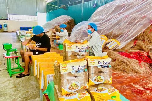 Hợp tác xã Nông sản Tân Việt Á - Khơi dậy giá trị, nâng tầm thương hiệu miến dong Cao Bằng