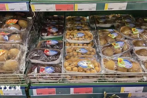 Nông sản Việt Nam mở rộng kênh phân phối tại thị trường Nga