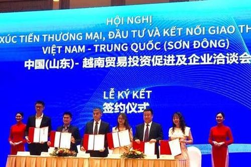Xuất khẩu Việt Nam sang Sơn Đông tăng hơn 52%