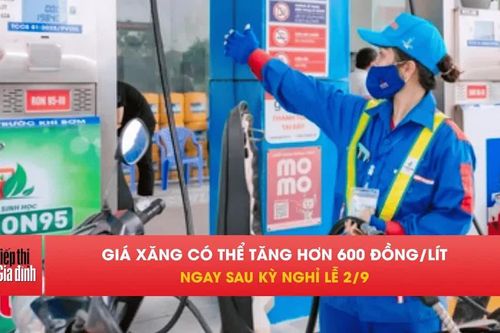 Sau lễ 2/9, giá xăng được dự báo tăng hơn 600 đồng/lít
