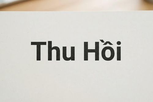 Cảnh báo 4 mẫu xe Audi, BMW, Porsche, Ford bị thu hồi ở nước ngoài: Người dùng tại Việt Nam cần lưu ý gì?