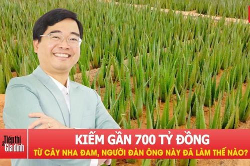 Người đàn ông ở Đồng Nai kiếm gần 700 tỷ đồng từ cây nha đam