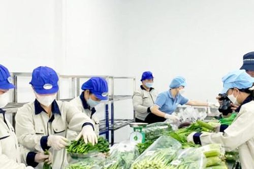 Hà Nội xây dựng hệ sinh thái dữ liệu, kiểm soát an toàn thực phẩm từ gốc