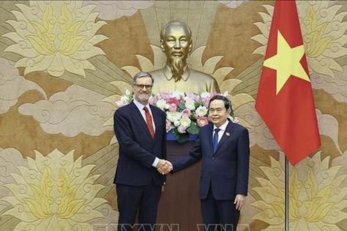 Phát huy vai trò hợp tác nghị viện, làm sâu sắc quan hệ Việt Nam - Pháp