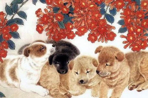 Top con giáp nam nổi tiếng chiều vợ, thương con