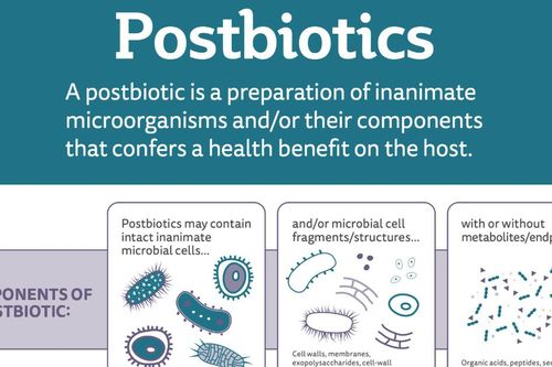 Công nghệ lợi khuẩn Postbiotic – Tiếp cận từ bằng chứng khoa học và thử nghiệm lâm sàng