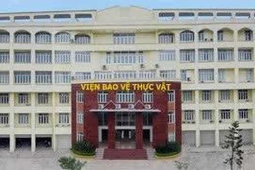 Bộ Nông nghiệp và Môi trường còn 425 cơ sở nhà đất chưa sắp xếp, nhiều nơi bị lấn chiếm, cho thuê