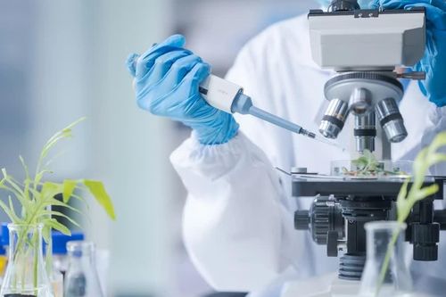 Trung Quốc mở chiến dịch truy quét gian lận học thuật lớn nhất lịch sử
