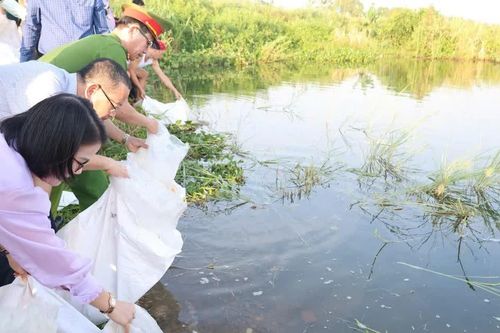 Quảng Ngãi: Thả cá giống tái tạo nguồn lợi thủy sản trên sông Trà Khúc
