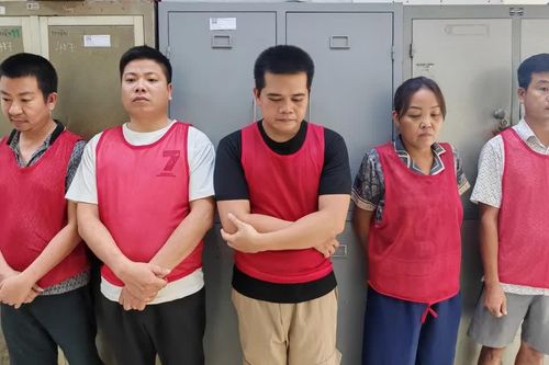 Khởi tố 5 đối tượng trong vụ đổ hơn 33,5 nghìn tấn chất thải tại Hà Nội