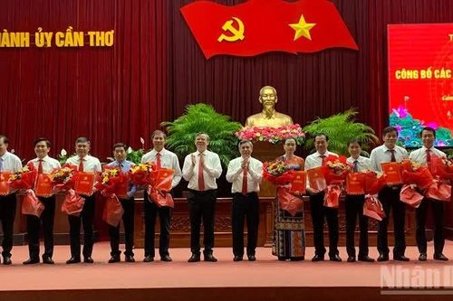 Cần Thơ tập trung quản lý, đào tạo và rèn luyện cán bộ sau quy hoạch