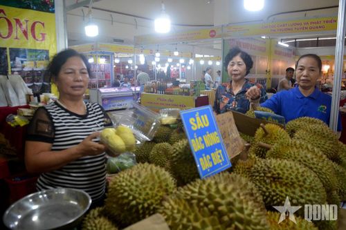 Gỡ khó cho xuất khẩu sầu riêng