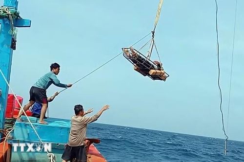 Bay trong đêm, trực thăng đưa ngư dân nguy kịch về đất liền điều trị