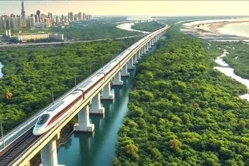 HURC1 tuyển nhân sự cho tuyến đường sắt LRT Phú Quốc