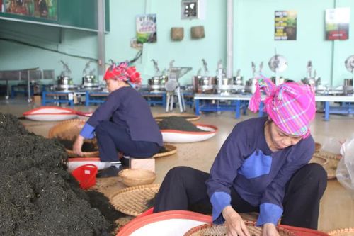 Gắn đào tạo nghề với nhu cầu sản xuất của người dân