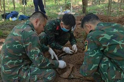 Phát hiện 2 hài cốt liệt sĩ giữa rừng tràm vùng biên Quảng Trị