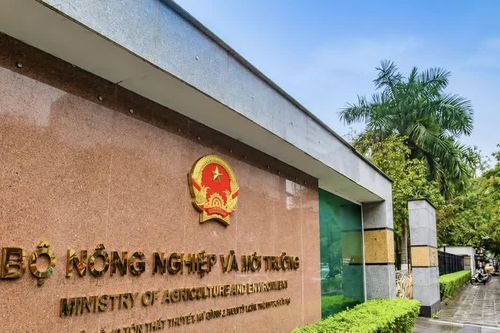 Nhiều cơ sở nhà đất thuộc Bộ NN&MT bị bỏ trống, lấn chiếm