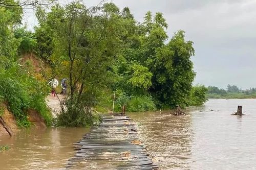 Nước lũ ở Gia Lai cuốn cầu tạm, nhấn chìm nhiều diện tích hoa màu