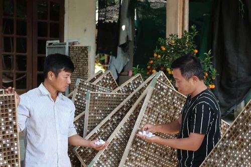 Khát vọng hồi sinh nghề xưa của người trẻ Quảng Ngãi
