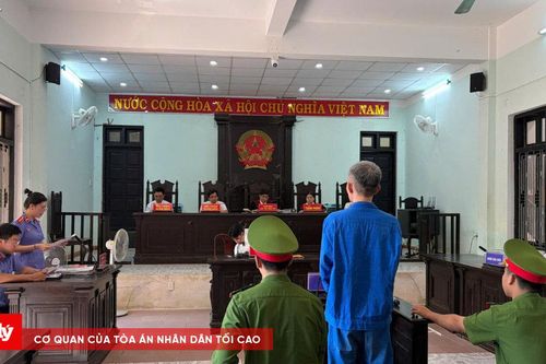 Giả chủ rừng, lừa bán 4 khu rừng keo, chiếm đoạt hơn nửa tỷ đồng