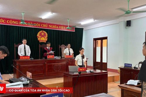 Mua bán hàng trăm bình khí cười, 3 cha con lĩnh án