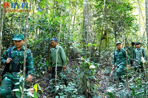 Đẩy nhanh điều tra, xử lý các vụ án phá rừng, lấn chiếm đất lâm nghiệp